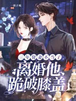 三年贤妻不当了,离婚他跪破膝盖